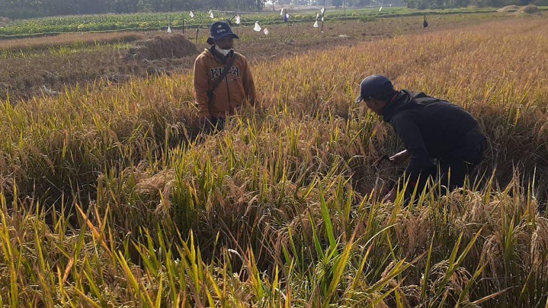 Ganjar Pranowo Optimistis Indonesia Bisa Jadi Lumbung Pangan Dunia