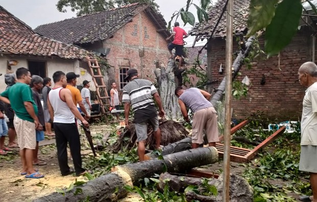 Hujan Disertai Angin Kencang di Kota Yogyakarta, Pohon Tumbang dan Atap Beterbangan