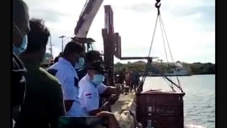 Kontainer Muatan KM Dorolonda Jatuh di Pelabuhan Namlea, Ratusan Ikan Mati Mendadak
