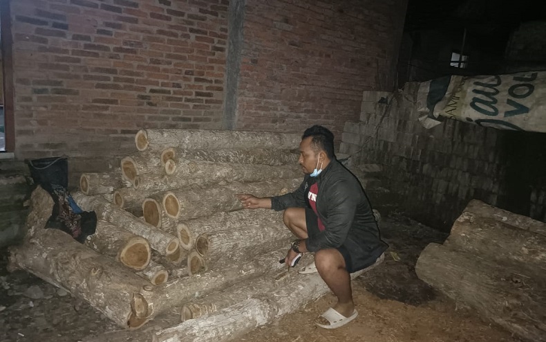 Tangkap 4 Pelaku Pembalakan Liar di Banyuwangi, Polisi Sita 88 Batang Kayu Jati 