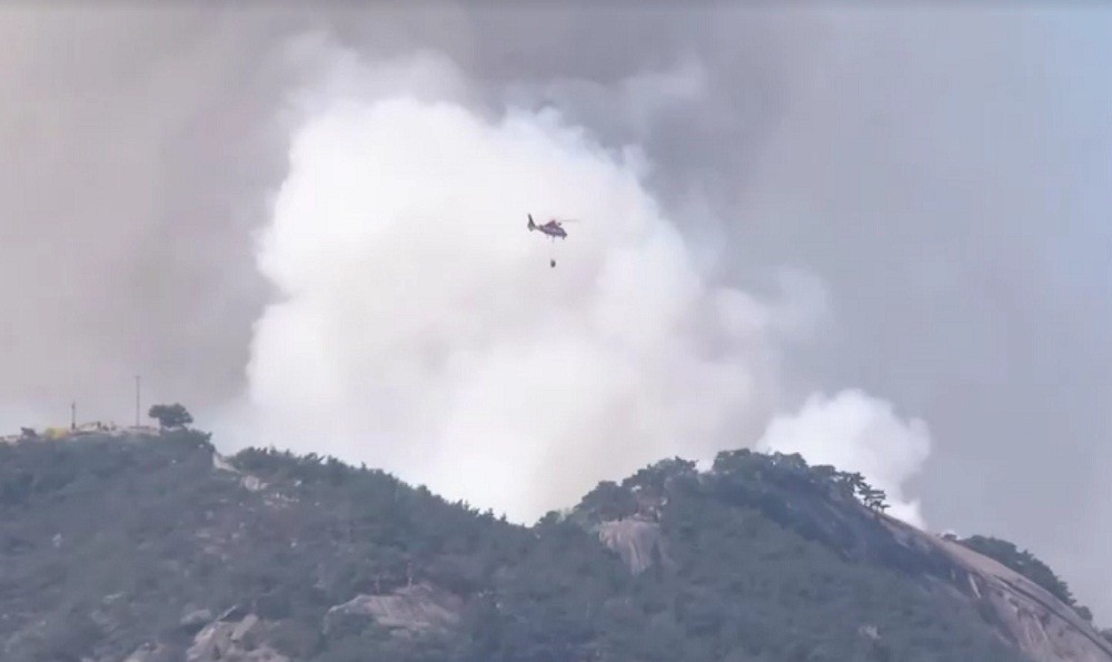 Hutan di Kota Seoul Terbakar, Proses Pemadaman Libatkan Pesawat Pengebom Air