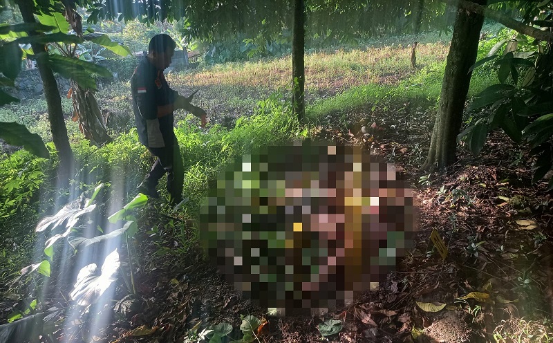 Sopir Taksi Online Tewas Dirampok di Tol Jagorawi, Pelaku Ditangkap karena Bercak Darah