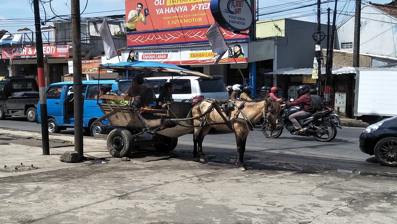 H-7 Lebaran, Delman Dilarang Beroperasi di Jalan Raya Padalarang KBB