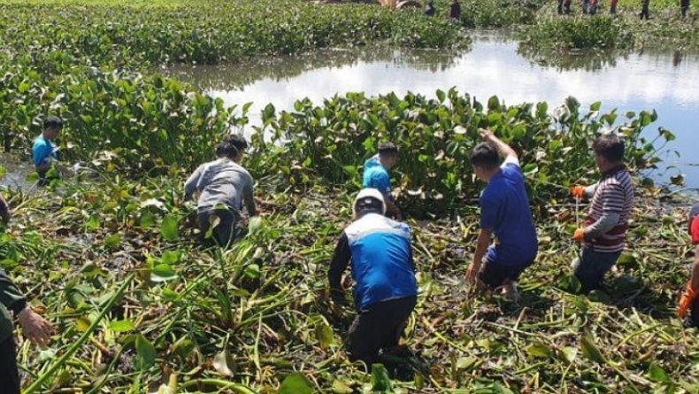Memprihatinkan, Danau Tondano-Minahasa Makin Menyusut dan Dangkal