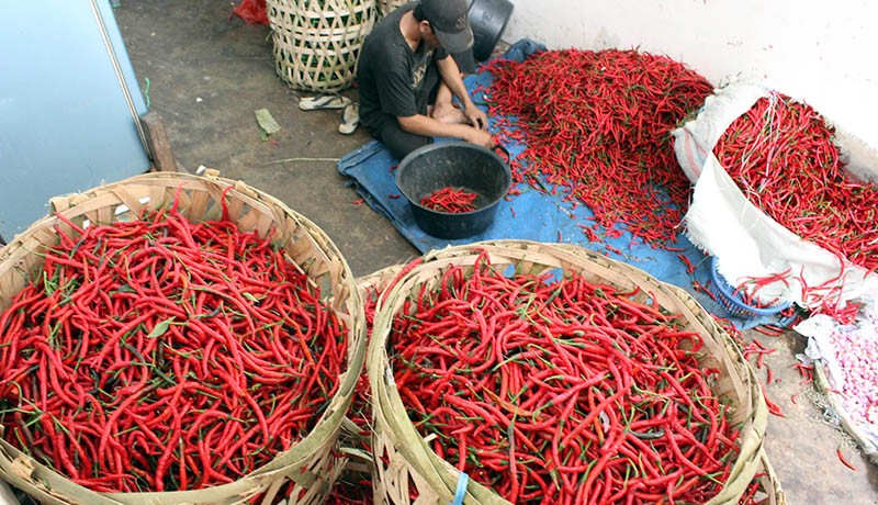 Harga Ayam dan Telur di Jakarta Turun Tipis, Cabai dan Bawang Merangkak Naik 