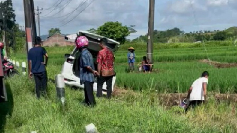 Hindari Tabrakan, Avanza Nyemplung ke Sawah di Pemalang