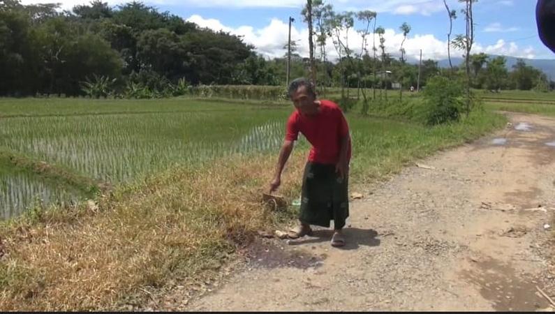  Perang Sarung di Tegal Berujung Maut, 1 Pelajar SMP Tewas Terkena Sabetan Sajam
