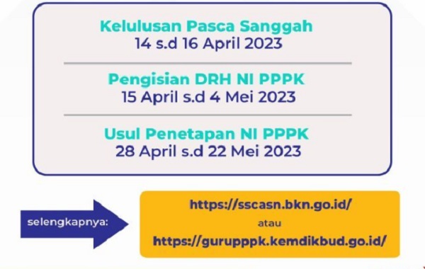 Pengumuman PPPK Guru 2022 di gurupppk.kemdikbud.go.id dan sscasn.bkn.go.id, Ini Cara Ceknya!