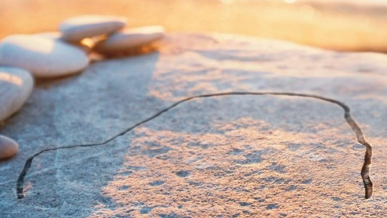 Hyundai Ancang-Ancang Luncurkan SUV Murah Seharga Rp100 Jutaan, Calon Pesaing S-Presso