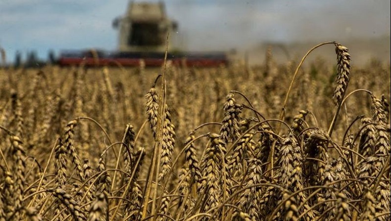 Lindungi Petani Lokal, Polandia dan Hongaria Larang Impor Biji-bijian dari Ukraina