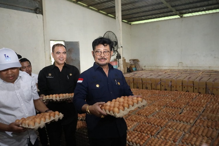 Mentan Pastikan Stok Telur dan Daging Aman Jelang Lebaran
