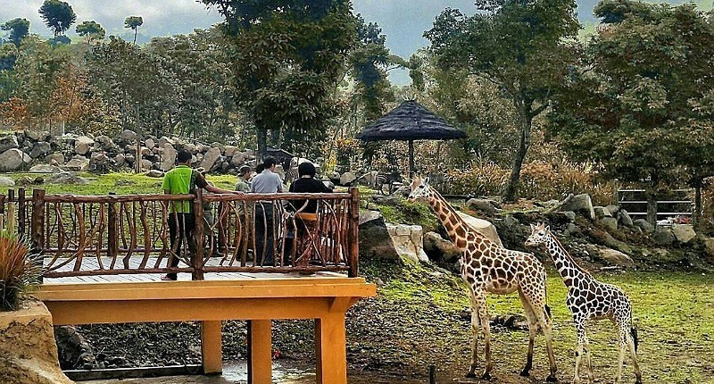 Ide Tempat Wisata saat Lebaran yang Seru untuk Keluarga, Ada Pantai hingga Kebun Binatang