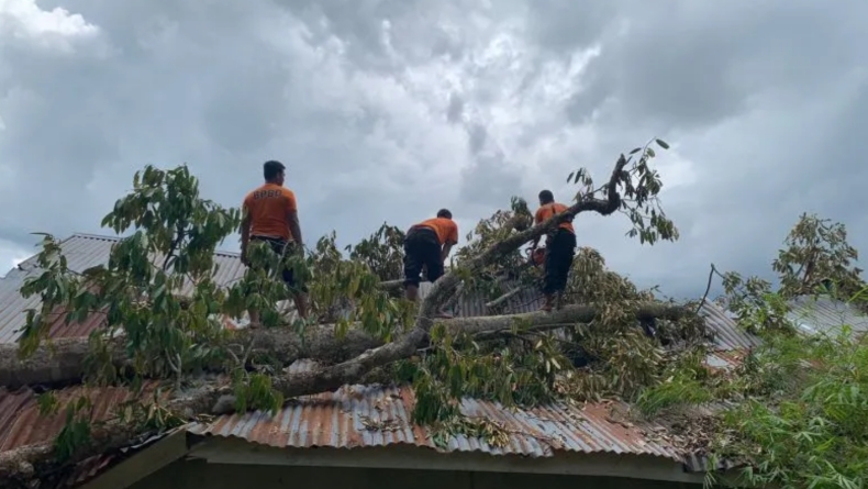 Angin Kencang Terjang Agam, Tumbangkan Pohon hingga Timpa Bangunan SLB