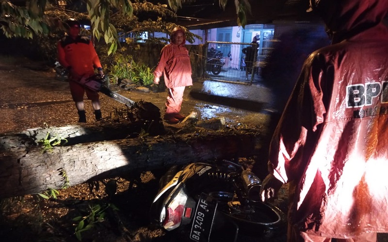 Pohon Tumbang di Padang Timpa Motor, 1 Korban Tewas