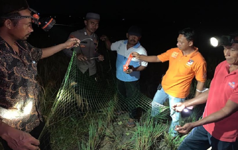 Cari Burung di Sawah, Bocah 13 Tahun di Pringsewu Tewas Tersambar Petir