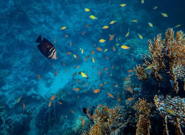 5 Destinasi Wisata Lebaran Terbaik di Luar Negeri, Ada Tetangga Indonesia!