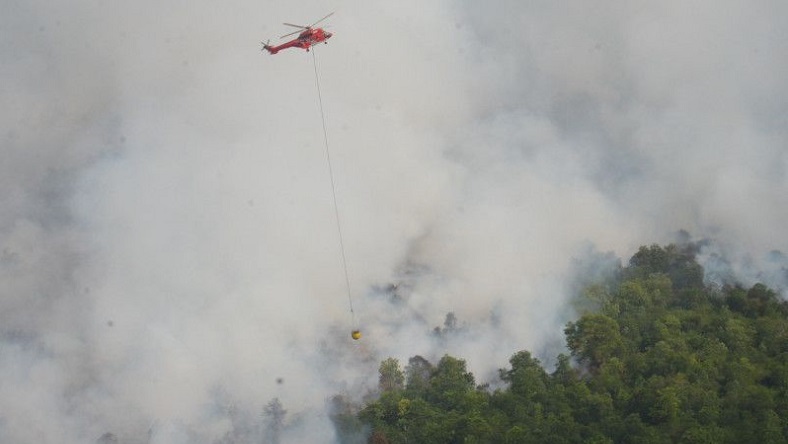 BNPB Siram 5,8 Juta Liter Air Padamkan 5.000 Hektare Karhutla di Kalbar