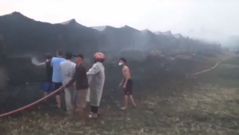 Kebakaran Hebat Landa Pabrik Pembibitan Ayam di Jombang, Ribuan Ekor Ayam Hangus