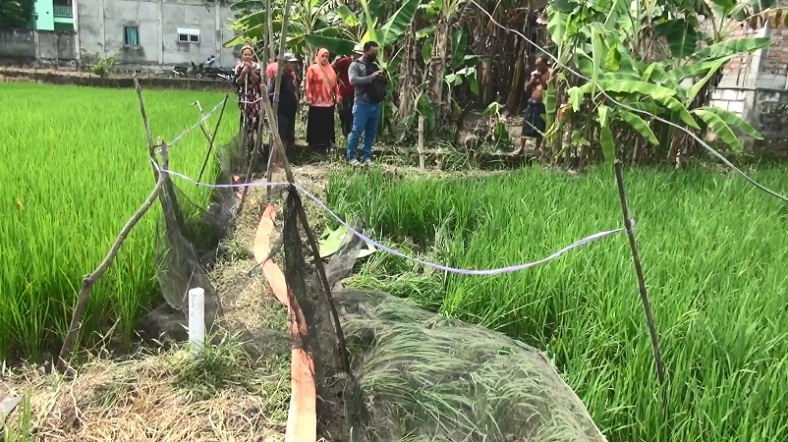 Tragis, Pasutri Lamongan Tewas Tersengat Listrik Jebakan Tikus di Sawah