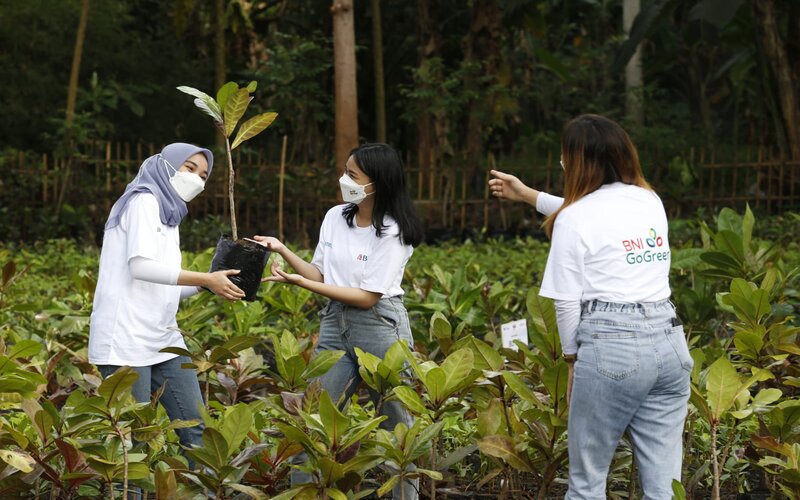 Program TJSL BNI Beri Dampak bagi Sosial dan Lingkungan