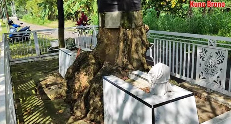 Merinding, Makam Keramat Terbelah Pohon Besar, Warga Tidak Ada yang Berani Tebang!