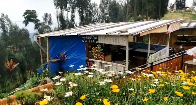 Kampung Unik di Pasuruan, Singgah ke Desa Ini Layaknya Surga dengan Pemandangan Edelweiss 