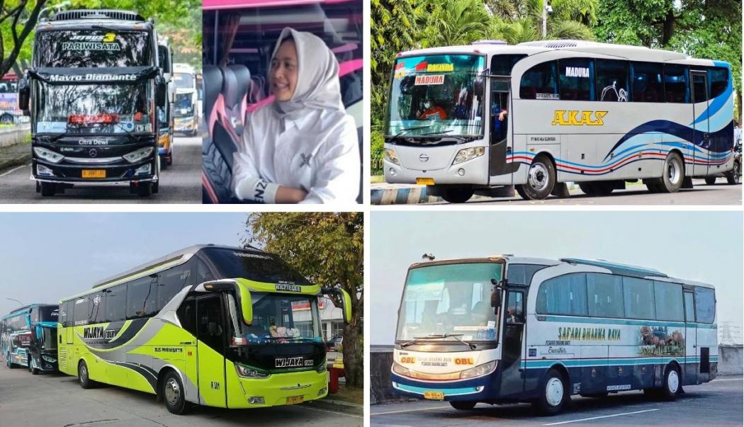 6 PO Bus Pakai Nama Pemiliknya, Nomor 5 Diwariskan ke Anak Perempuan Masih SMA