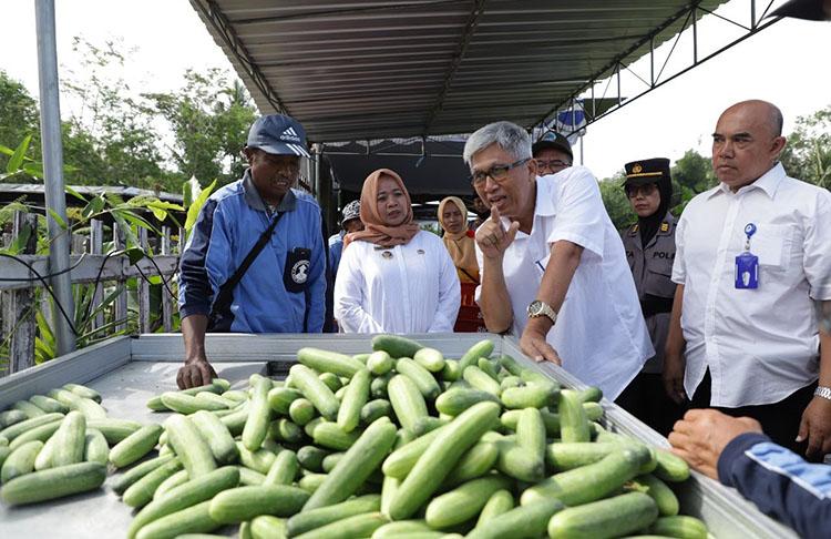 Dapat Kucuran Danais Rp77 Juta, Petani Sleman Sukses Budidaya Buah Mentimun