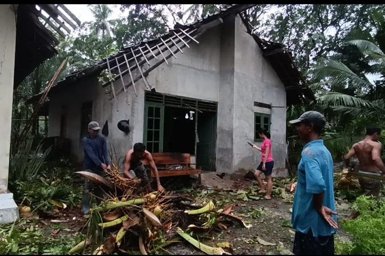 Angin Kencang Landa Kulonprogo, 5 Rumah Warga Rusak Tertimpa Pohon Tumbang
