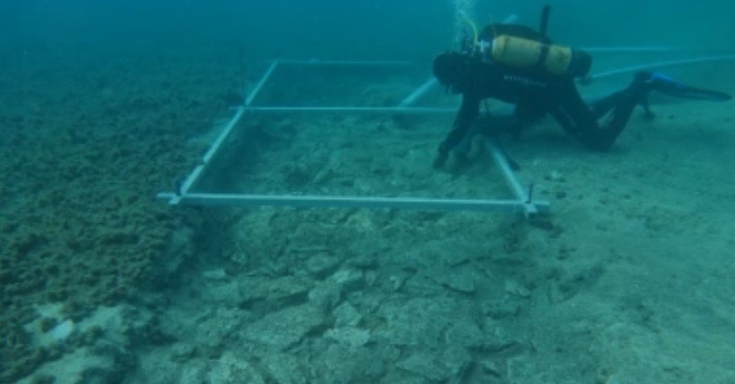 Arkeolog Temukan Jalan Berusia 7.000 Tahun di Dasar Laut, Diduga Pernah Jadi Penghubung Antar Pemukiman 