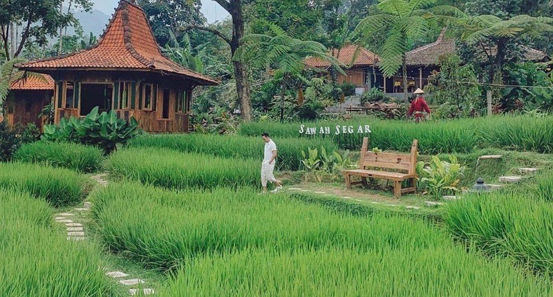 10 Tempat Makan Lesehan di Bogor yang Enak dan Murah, Nomor 3 Suasananya seperti di Ubud
