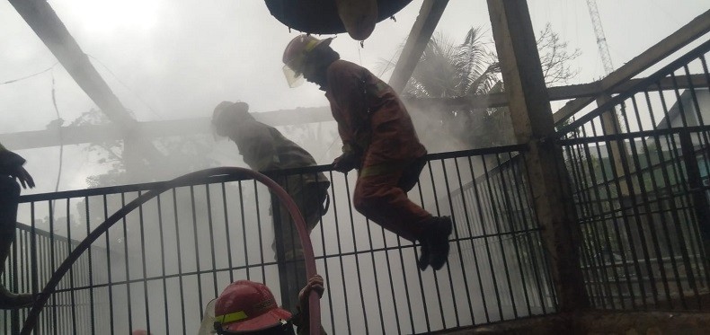 Kebakaran Kandang di Ciampea Bogor, 9 Kuda Tewas Terpanggang