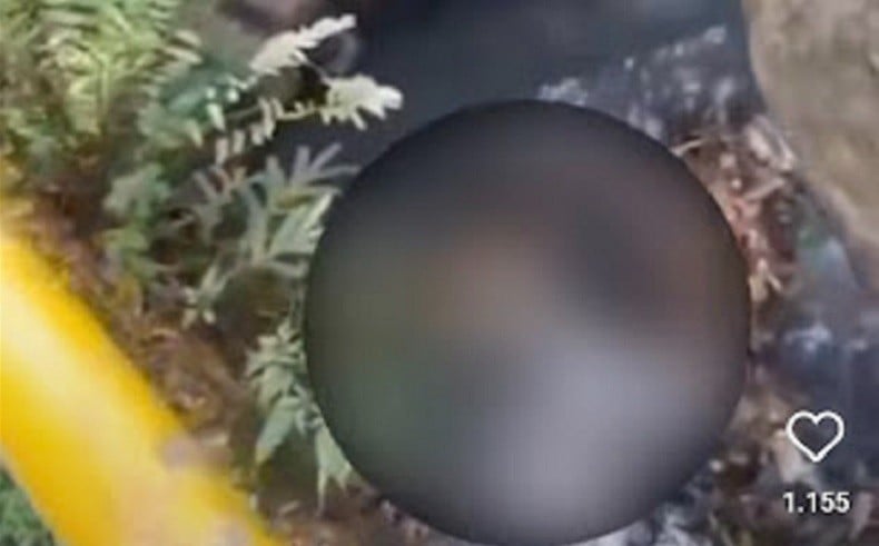 Geger Penemuan Mayat Bayi di Pondok Aren Tangsel, Tertutup Kardus Dekat Kali