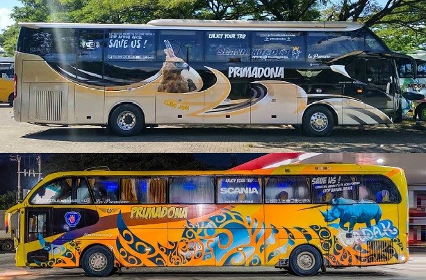 Unik PO Primadona Tampilkan Gambar Hewan Langka di Setiap Bus, Jenis Hewan Tunjukkan Rute Bus