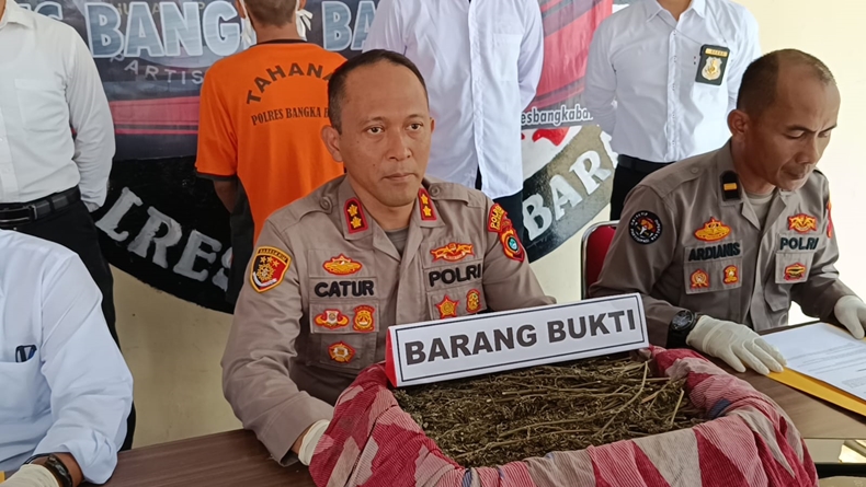 Polisi Tangkap Kurir Ganja Jaringan Aceh di Bangka Barat, Paket Dikirim Lewat Ekspedisi