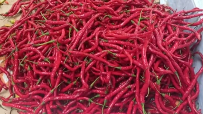 Harga Cabai di Pasar Muntok Bangka Barat Turun Pascalebaran, Stok Stabil