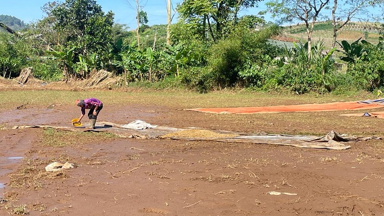 Banjir Terjang Areal Kopi di Sindangkerta KBB, Petani Rugi Ratusan Juta Rupiah