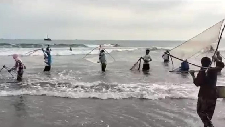 Fenomena Langka, Ribuan Ikan Impun Muncul di Pantai Pelabuhanratu Sukabumi