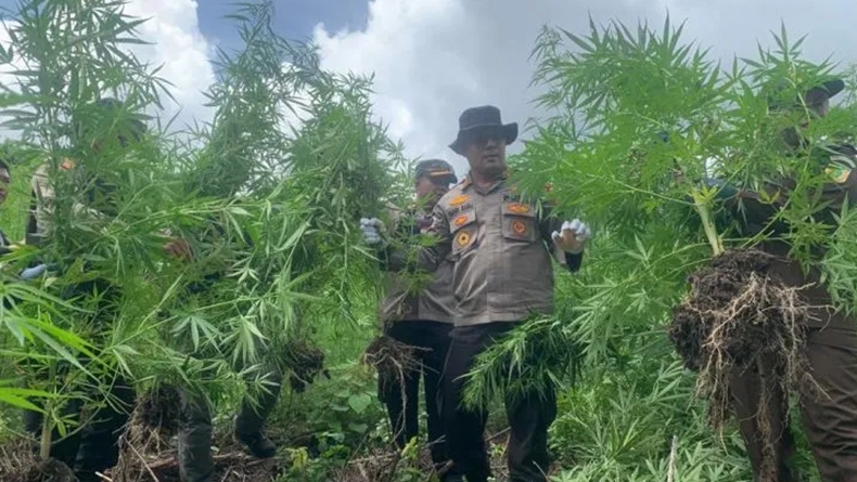 Polisi Bantah Kepung Rumah Pedemo Izin Tambang di Nagan Raya: Itu Kediaman Bandar Narkoba