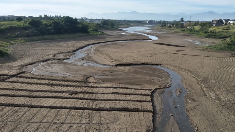  Antisipasi El Nino, Mentan Dorong Seluruh Daerah Siapkan Lumbung Pangan 