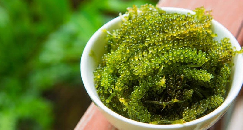 Lagi Tren Perawatan Wajah ala Korea dengan Jeju Volcanic Ash dan Green Caviar