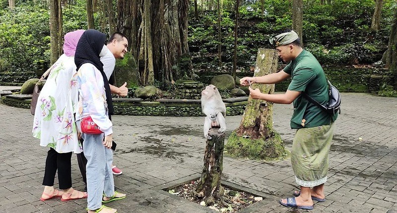 Selain Liburan ke Pantai, Ini Destinasi Wisata Menarik yang Harus Dijelajahi saat di Bali