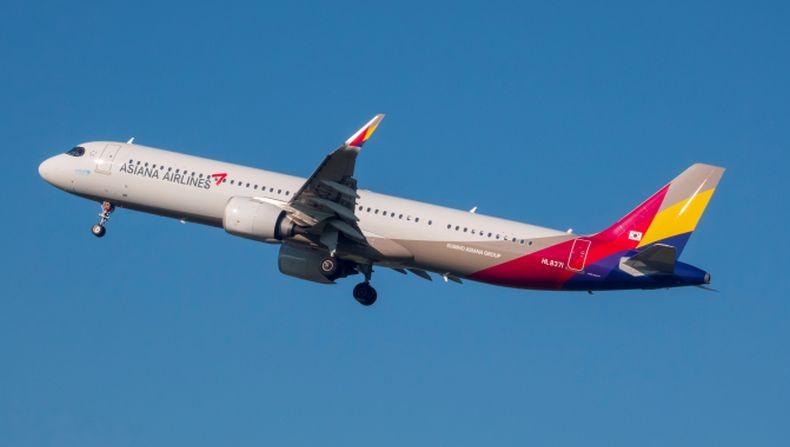 Detik-Detik Penumpang Pesawat di Korsel Buka Pintu Darurat saat Penerbangan