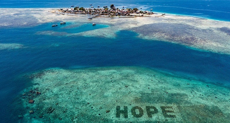 Hobi Snorkeling, Jaga Ekosistem Laut dengan Restorasi Terumbu Karang, Begini Caranya!
