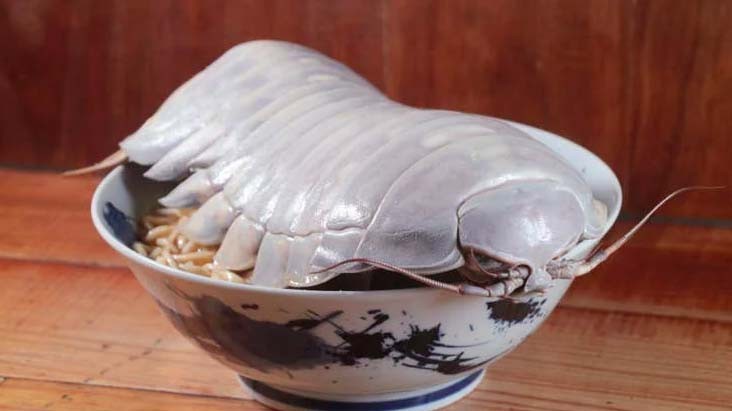 Viral Ada Restoran Sajikan Ramen Pakai Topping Makhluk Laut Mengerikan, Mirip Alien