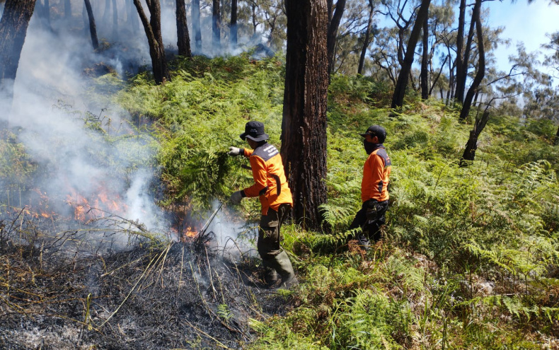 Hutan Lindung Tahura R Suryo Mojokerto Terbakar, Petugas Selidiki Penyebabnya