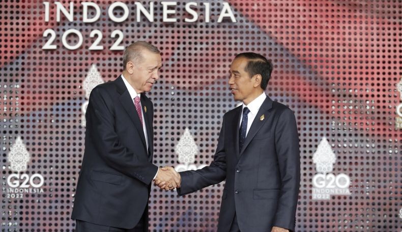 Ucapkan Selamat ke Erdogan, Presiden Jokowi: Warmest Congratulations to My Dear Brother!