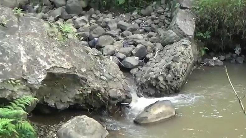 Tanggul Irigasi Jebol, Ratusan Hektare Lahan di Pemalang Kekeringan 