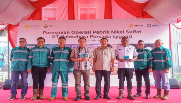 RI Punya Pabrik Nikel Sulfat Terbesar di Dunia, Kapasitas Produksi 240.000 Ton per Tahun