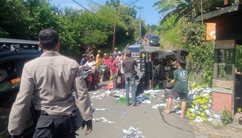 Tak Kuat Nanjak, Mobil Pikap Bawa Sayuran Overload Terguling di Puncak